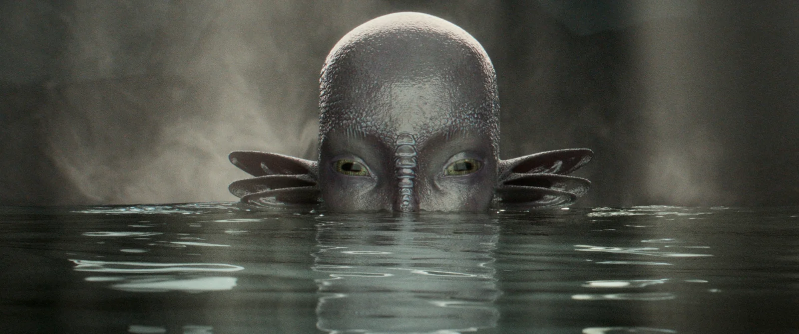 Cabeza calva de un ser grisáceo, con ojos verdosos y orejas laterales, emergiendo de un agua oscura.