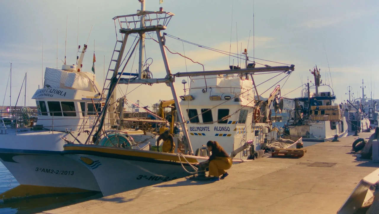 Fotograma de «Marchar»: barcos de pesca amarrados en un puerto, a la luz de la tarde.